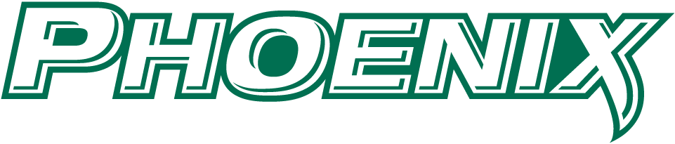Wisconsin-Green Bay Phoenix 2011-Pres Wordmark Logo diy iron on heat transfer